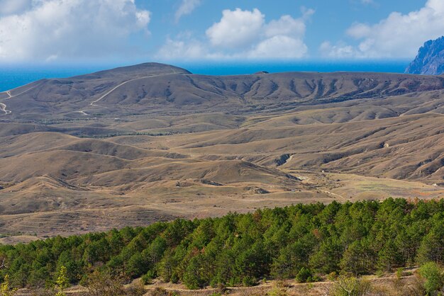 Colline sabbiose e argillose con popolamenti di strisce forestali in riva al mare