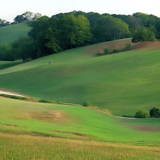 colline