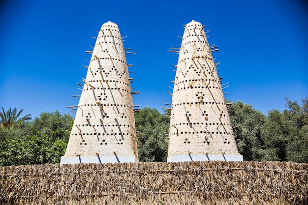 Colombaia egiziana tradizionale fatta di argilla. Piccionaia nell'oasi di Siwa, Egitto