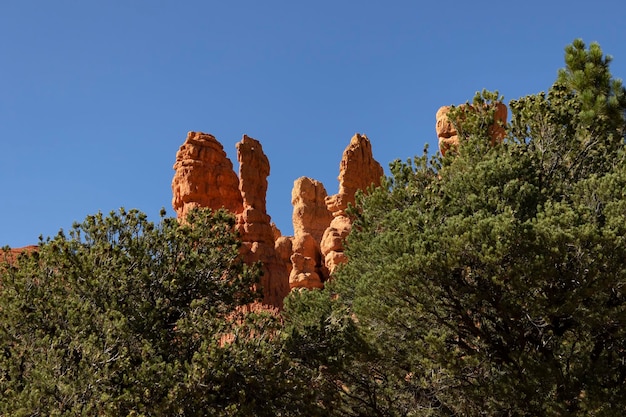 Colonne e hoodoos di pinnacoli arancione in pericolo nel Red Canyon NP nello Utah