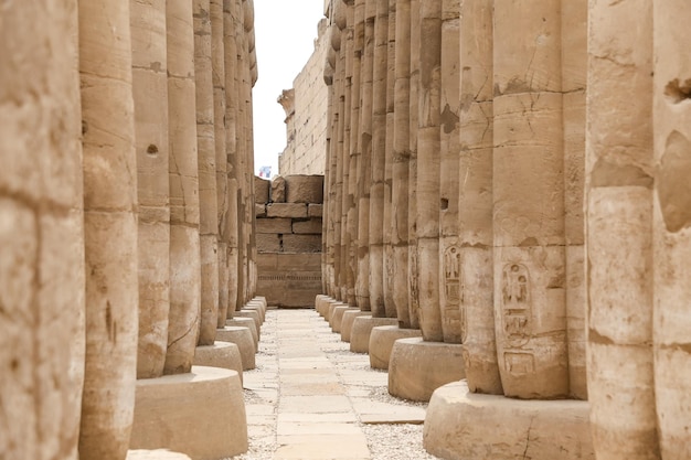 Colonne nel tempio di Luxor Luxor Egitto