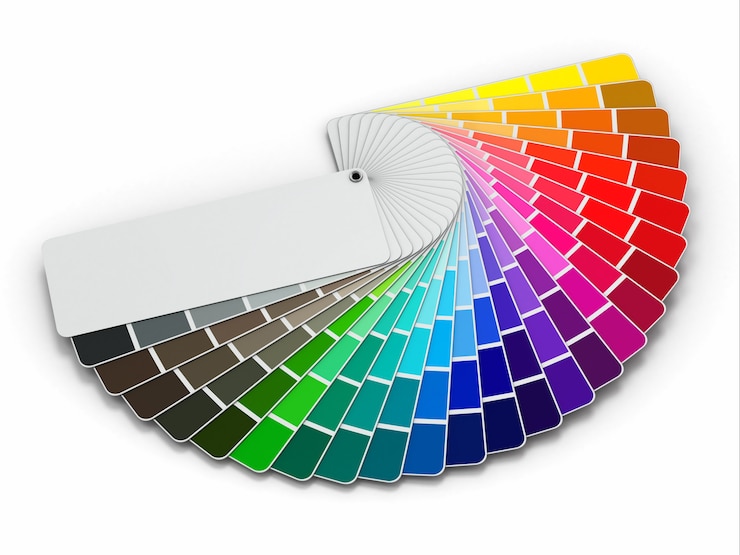 Photo color palette guide on white background