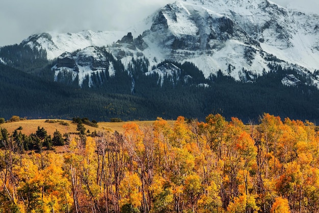 Colorado