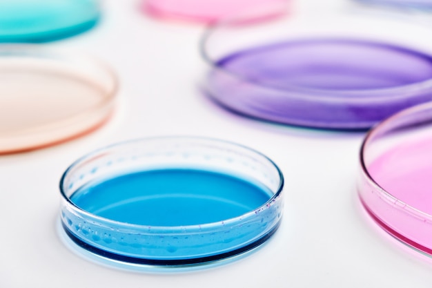 Colorata capsula di Petri con i media in un laboratorio di microbiologia. Ricerca chimica con diversi liquidi.