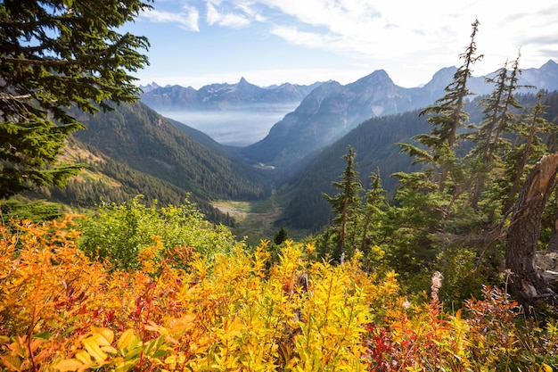 Colorata stagione autunnale nelle montagne dello stato di Washington, USA