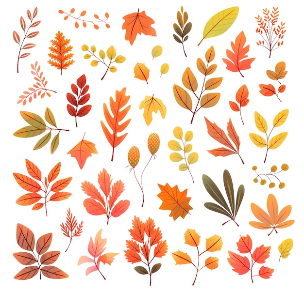 Colorate foglie d'autunno collezione di illustrazioni generative di IA in stile cartone animato Illustrazioni Generative di AI isolate su bianco