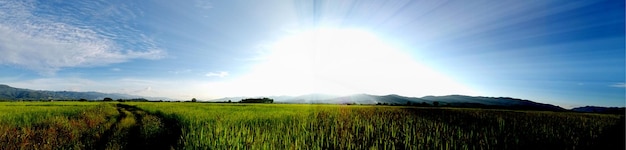 Colorato di panorama Sfondo azzurro Cielo nuvola chiara