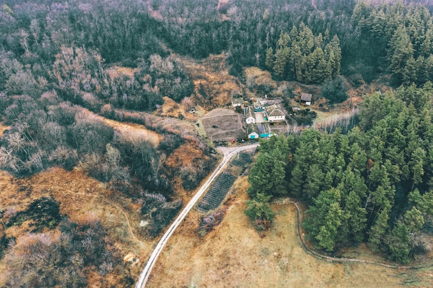 Colorato paesaggio atmosferico - una casa vicino alla pineta bruciata con una strada sterrata e colori armoniosi