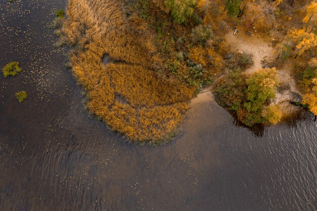 Colorato paesaggio autunnale con fiume e bellissimi alberi autunnali