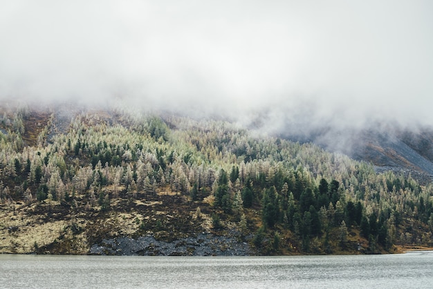 Colorato paesaggio autunnale con lago di montagna e foresta di conifere con brina sugli alberi sul pendio di muschio sotto le nuvole basse. Vista panoramica di bellissimi larici gialli con brina sulla collina tra le nuvole.