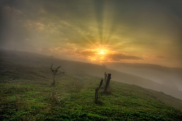 Colorato paesaggio autunnale nell'alba delle montagne