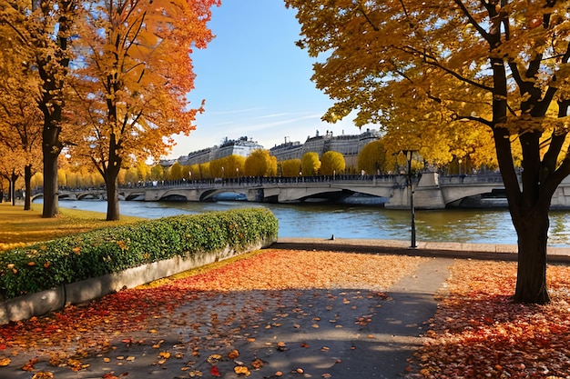 Colore dell'autunno a Parigi