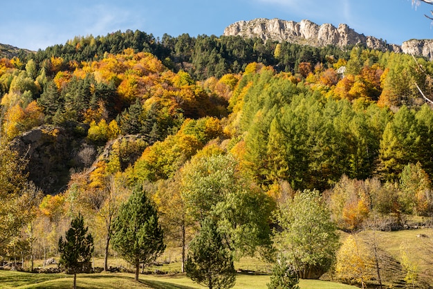 Colore dell'autunno alle montagne dei Pirenei