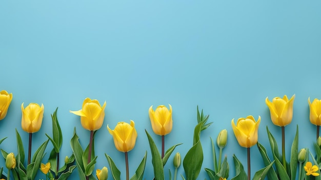 Colore solido sullo sfondo tulipani vista spaziale bianca