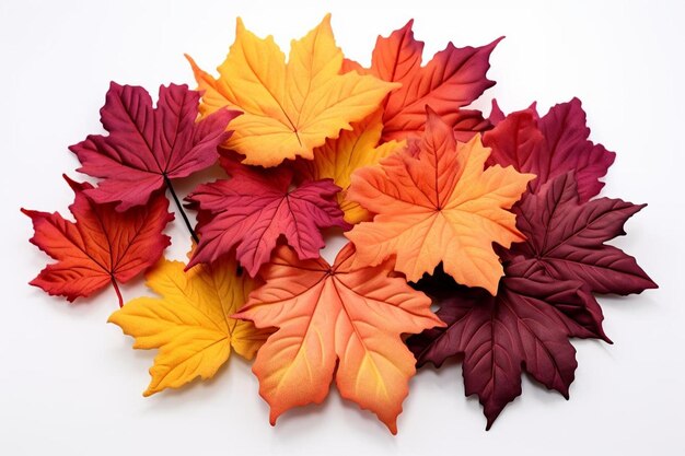 Colorful_autumn_leaves_arranged_in_a_pile_on_254_block_0_0jpg