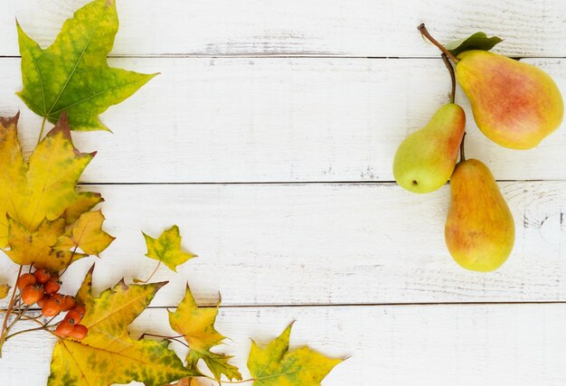 Colori autunnali foglie gialle bacche arancioni pere profumate copia spazio