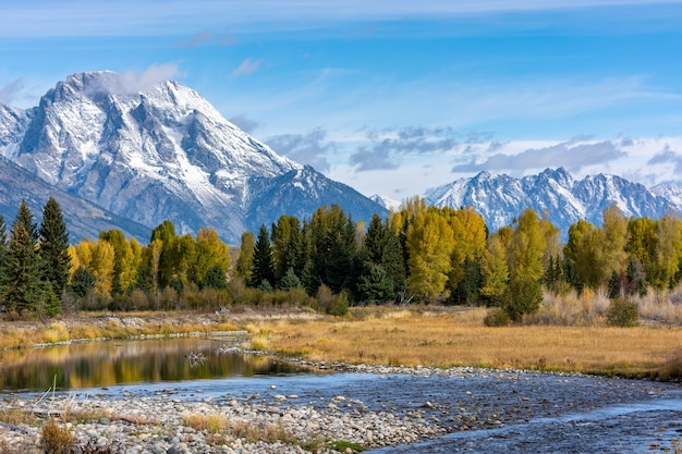 Colori autunnali nel Parco Nazionale del Grand Teton