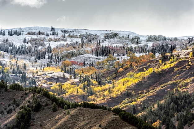 Colori autunnali nel Wyoming