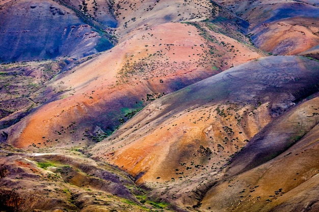Colori dell'Himalaya Valle di Spiti Himachal Pradesh India