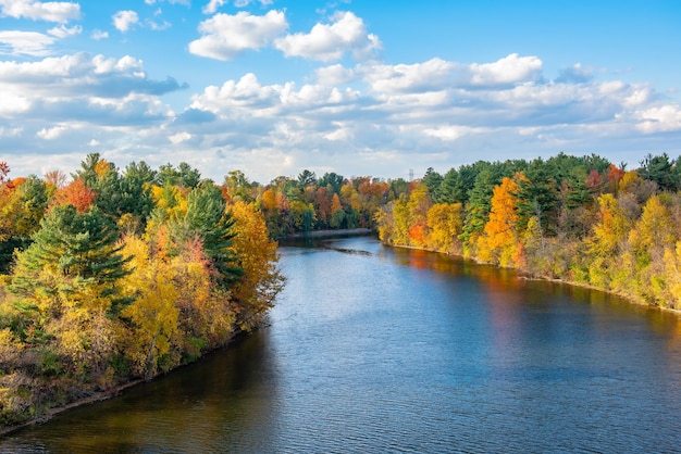 Colori vibranti di ottobre ampia vista panoramica di un bellissimo parco mattutino autunnale gialloarancio di serenità con alberi lussureggianti riflessi nell'acqua del fiume pittoresco paesaggio autunnale