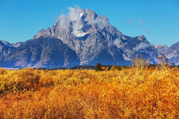 Colori vivaci della stagione autunnale nel Parco Nazionale del Grand Teton, Wyoming, USA