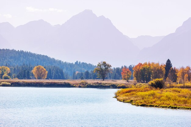 Colori vivaci della stagione autunnale nel Parco Nazionale del Grand Teton, Wyoming, USA