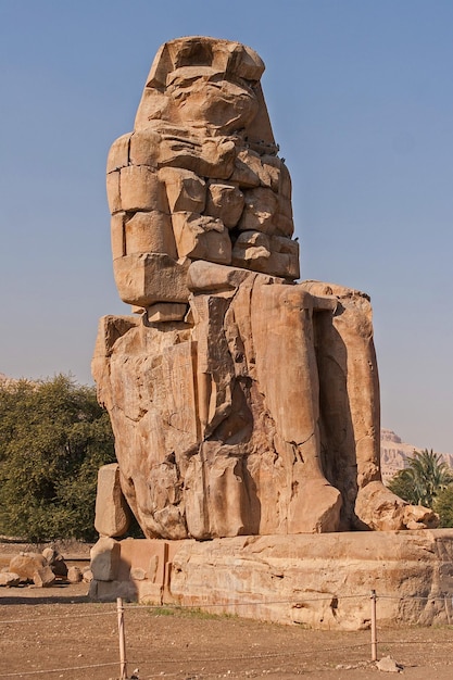 Colossi di Memnon Luxor Tebe sullo sfondo dell'alba in Egitto