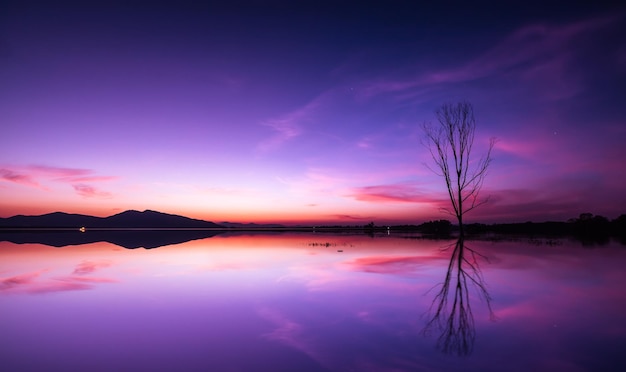 Colpo a lunga esposizione di alberi stagliati riflessi nell'acqua e sopra il tramonto colorato