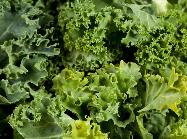 Colpo a macroistruzione di Kale