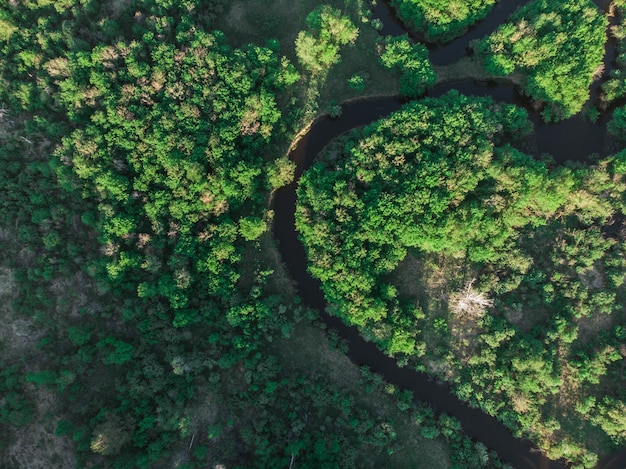 Colpo aereo del drone del fiume selvaggio