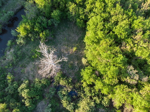 Colpo aereo di drone del paesaggio estivo di giugno con il fiume