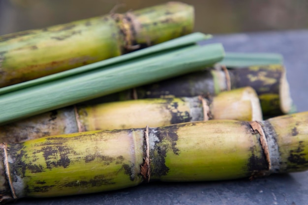 Colpo del primo piano della canna da zucchero fresca della fetta