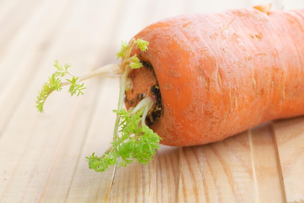 Colpo del primo piano di una carota fresca da un giardino su una superficie di legno