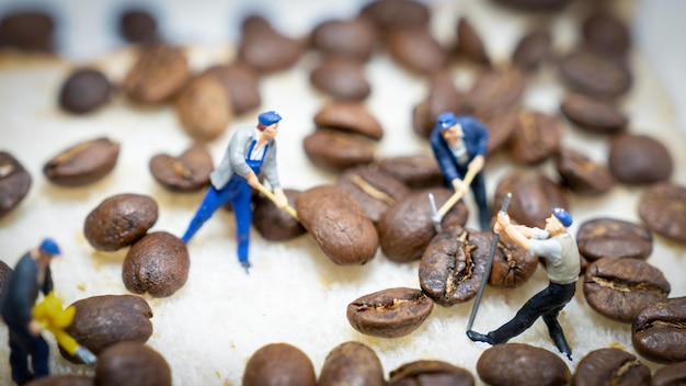 Colpo dello studio del primo piano di struttura del fondo dei chicchi di caffè