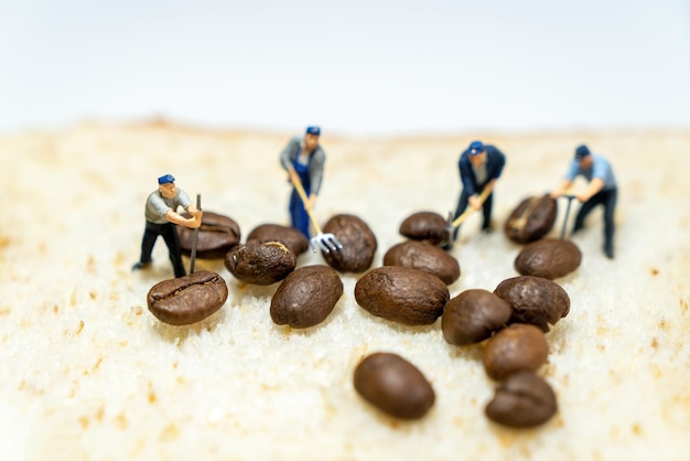 Colpo dello studio del primo piano di struttura del fondo dei chicchi di caffè