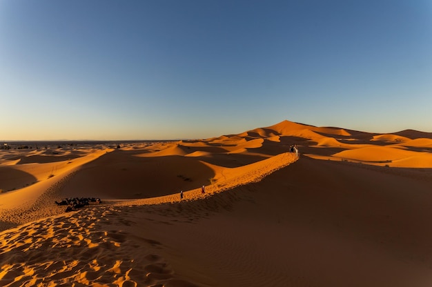 Colpo di North Algodones Dunes Wilderness Area Acolita USA