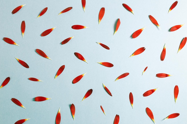 Foto colpo di pesce a pieno formato