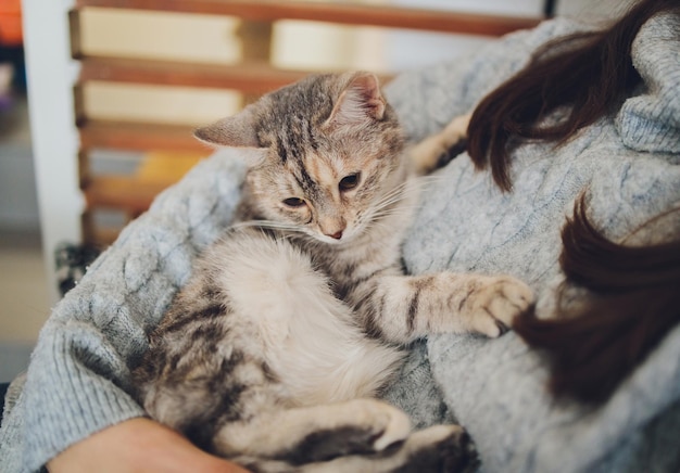 Colpo ritagliato di giovane donna che tiene in mano un adorabile gatto soriano