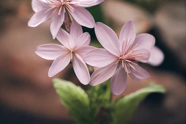 Colpo verticale di bellissimi fiori fioriti