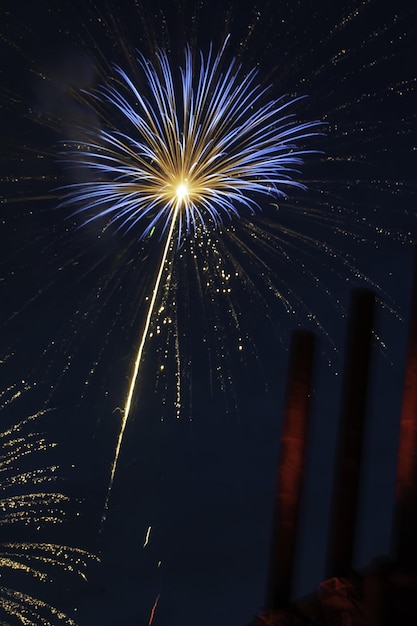 Colpo verticale di bellissimi fuochi d'artificio nel cielo notturno