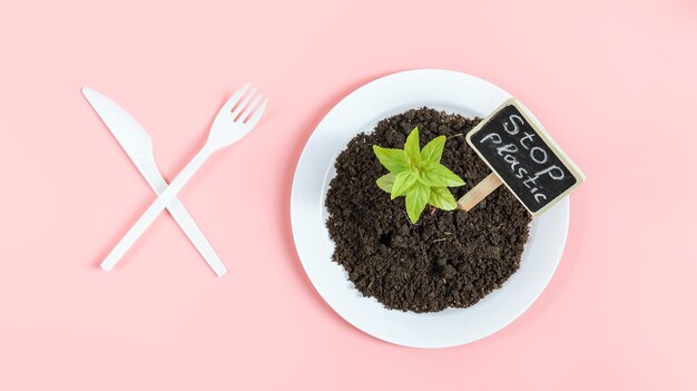 Coltello e forchetta in plastica incrociati con piatto bianco con germoglio verde terra nera e picchetto con