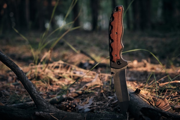 Coltello tattico per la sopravvivenza e la protezione in condizioni difficili bloccati nella foresta di rami d'albero