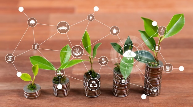 Coltivare una giovane piantina di albero piantata sopra una pila di monete con investimenti aziendali ESG con potenziale di crescita sostenibile porta a un ritorno finanziario redditizio e alla protezione dell'ambiente Reliance