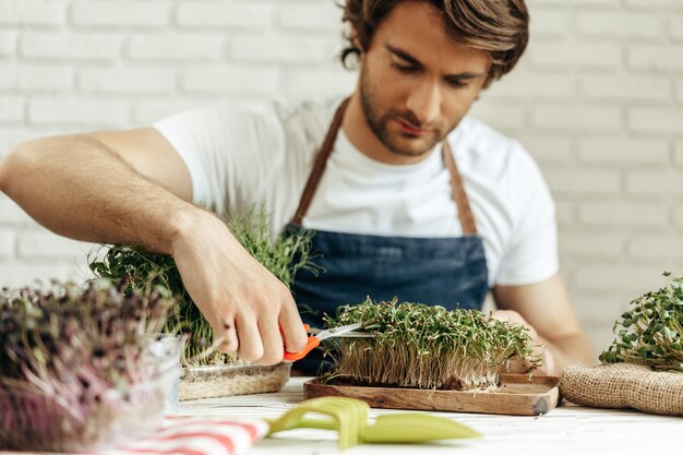 Coltivatore attraente uomo barbuto che si prende cura di germogli di microgreens al suo posto