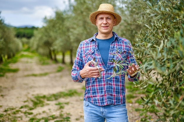 Coltivatore dell'uomo con cappello di paglia alla piantagione di ulivi.