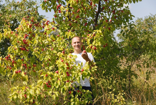 Coltivatore di uomo felice nel giardino di melo