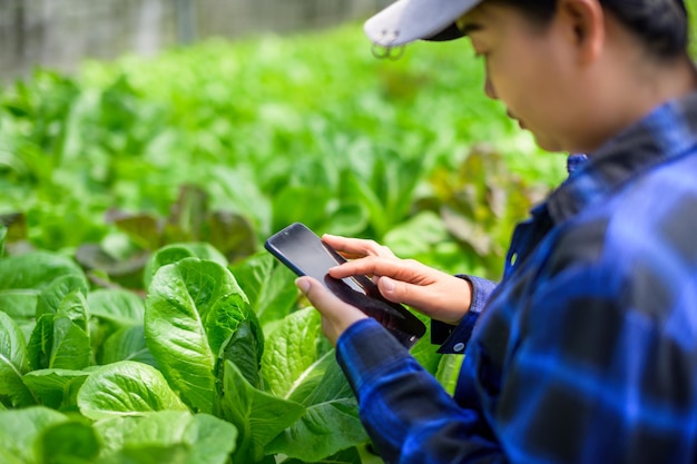 Coltivatore donna premurosa Idroponica orto verdure biologiche