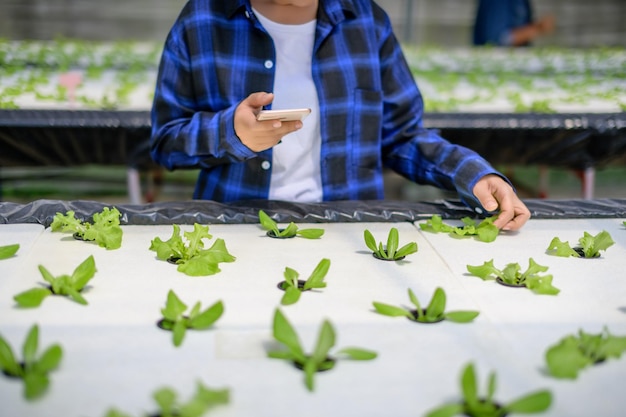 Coltivatore donna premurosa Idroponica orto verdure biologiche