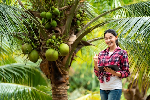 Coltivatore femminile asiatico thumbs up con albero di cocco in piantagione in Thailandia Il concetto di esportazione di noci di cocco thailandesi Tecnologia agricola