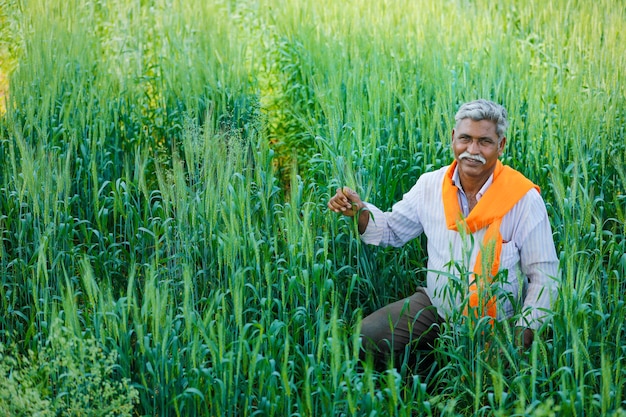 Coltivatore indiano al giacimento di grano dorato